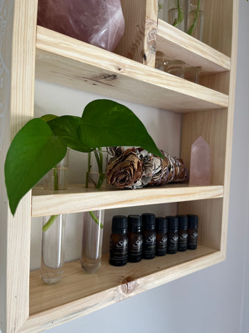 Minimalistic Collection: Plant propagation shelf