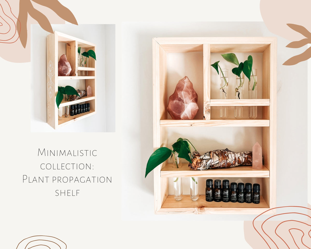 Minimalistic Collection: Plant propagation shelf