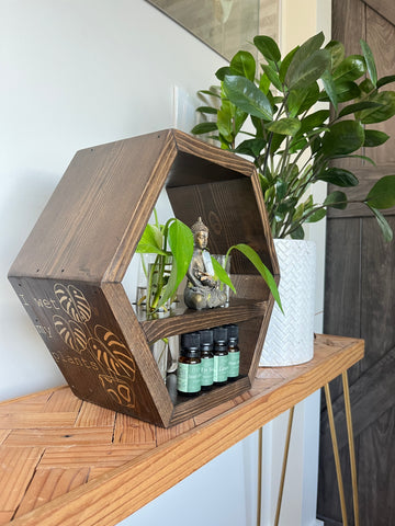 “Wet My Plants” plant propagation shelf