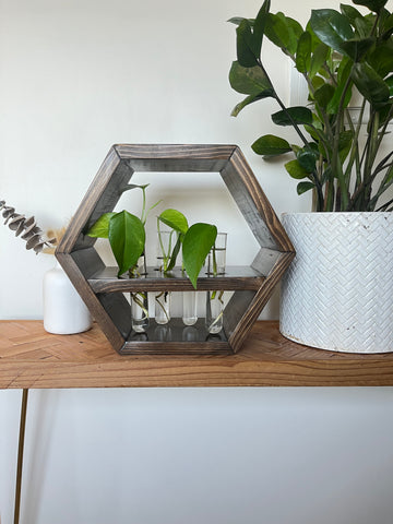“Wet My Plants” plant propagation shelf