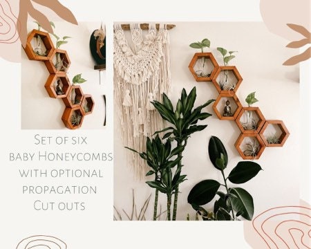 Set of six baby honeycombs with optional plant propagation set up