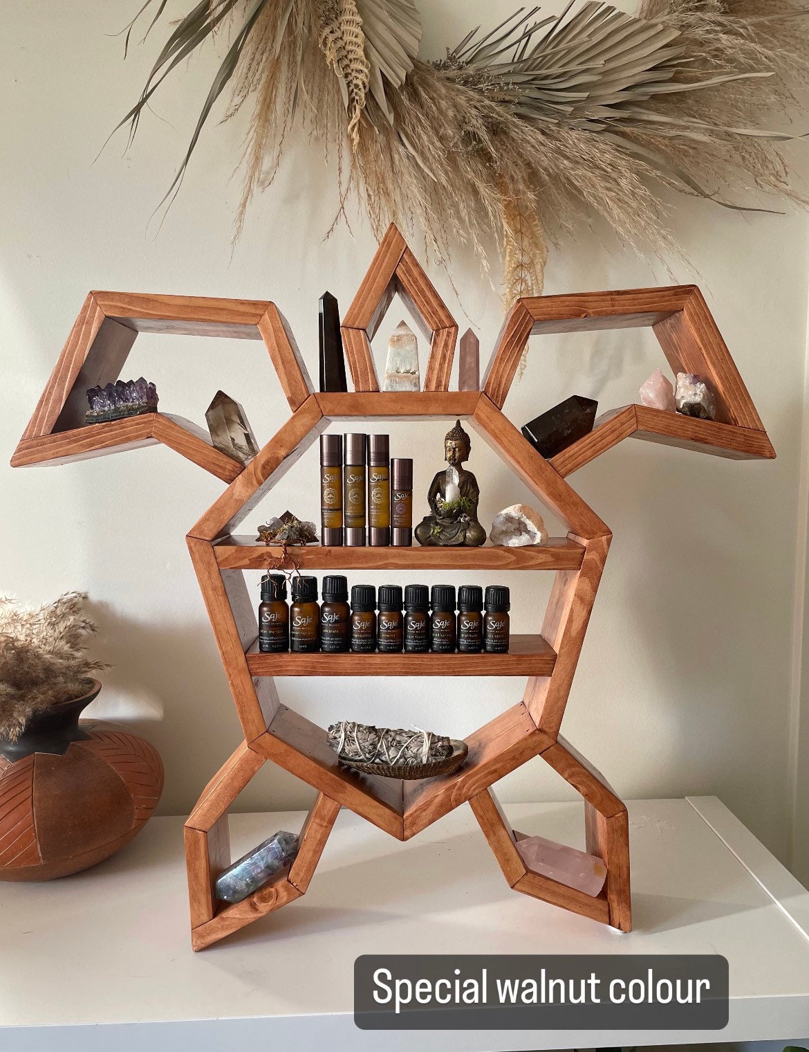 The Animal Shelf High Tone